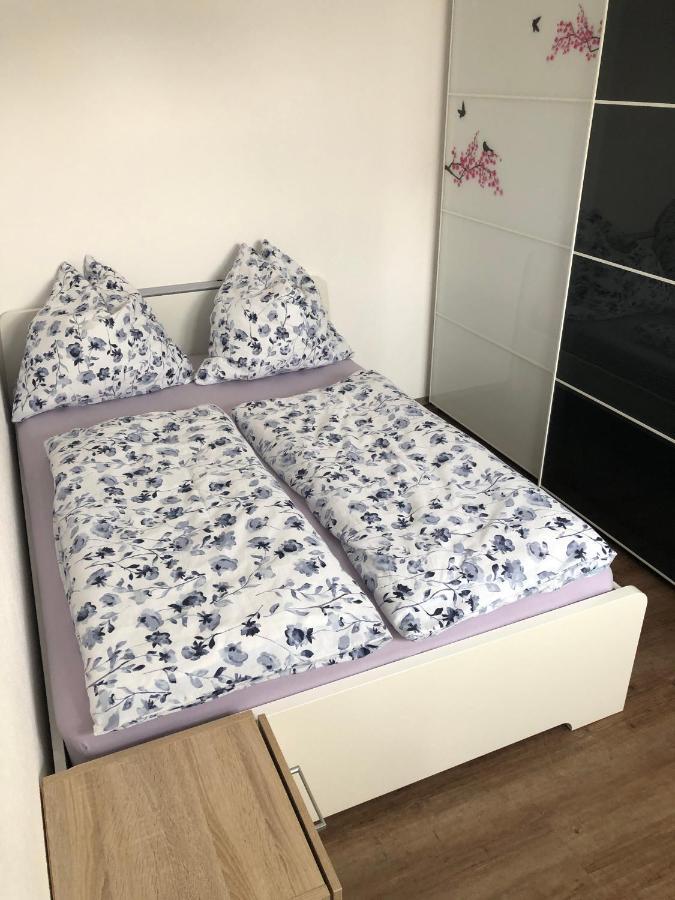 Ferienwohnung Janson Wiesenbach Екстер'єр фото